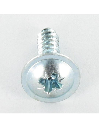 1 x Tornillo chapa cabeza abovedada ancha Pozi...