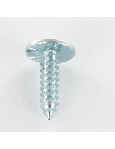 1 x Tornillo chapa cabeza abovedada ancha Pozi...