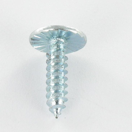 1 x Tornillo chapa cabeza abovedada ancha Pozi 2,9 x 6,5 dentado Acero cincado blanco