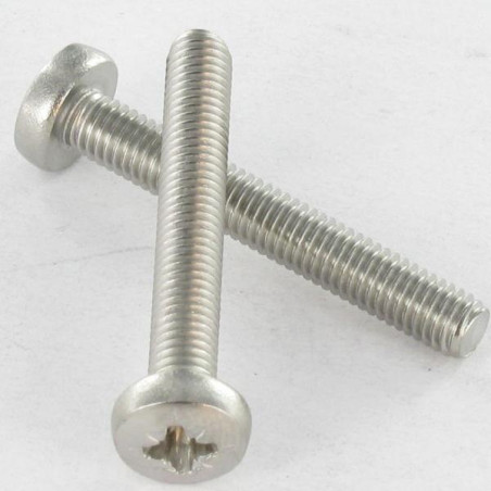 1 x Tornillo metales cabeza abovedada ancha Pozi PZ6 M8X12 Inoxidable A4