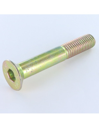 1 x Tornillo metales FHC cabeza fresada cavidad...