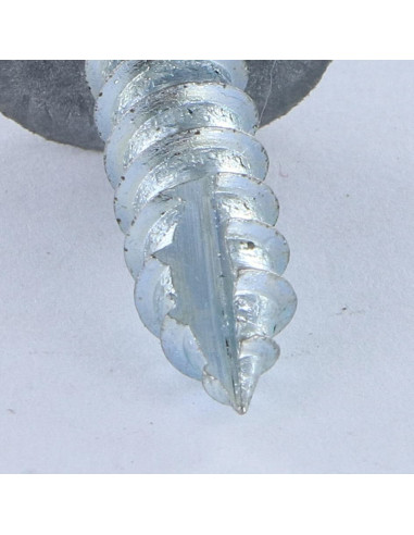 1 x Tornillo chapa TH/RD. Vehículo comercial...