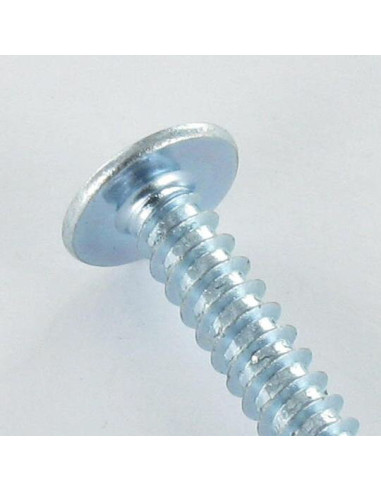 1 x Tornillo chapa poelier cabeza redonda ancha...