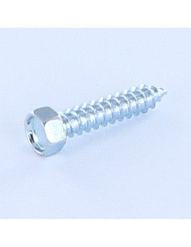 1 x Tornillo chapa cabeza hexagonal 4.2X13...