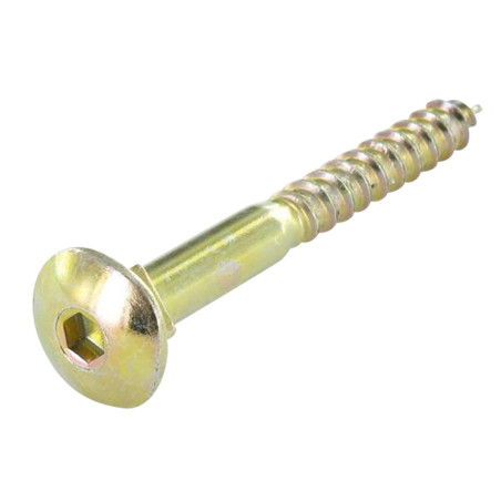 1 x Tornillo madera Cabeza redonda cuello cuadrado 6X50 hexagonal hueco 4 Acero cincado blanco