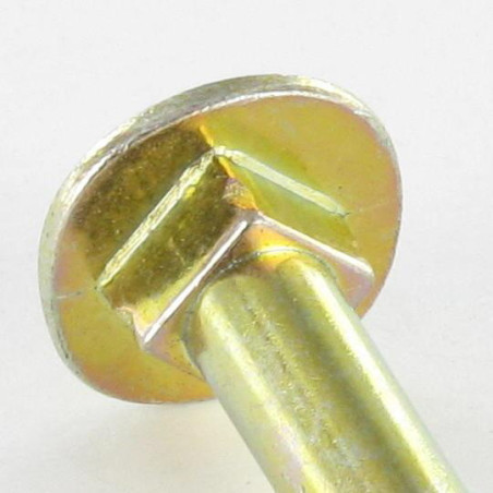 1 x Tornillo madera Cabeza redonda cuello cuadrado 6X50 hexagonal hueco 4 Acero cincado blanco