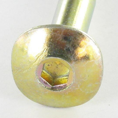 1 x Tornillo madera Cabeza redonda cuello cuadrado 6X50 hexagonal hueco 4 Acero cincado blanco