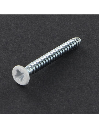 1 x Tornillo chapa cabeza fresada/testa svasat...