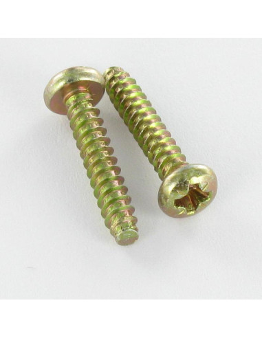 1 x Tornillo chapa cabeza abovedada ancha Pozi...