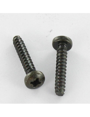 1 x Tornillo chapa cabeza abovedada ancha Pozi...