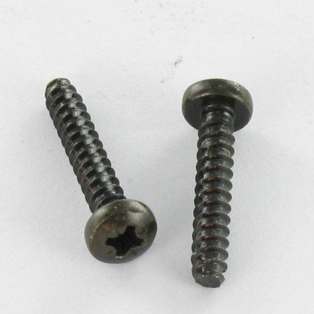 1 x Tornillo chapa cabeza abovedada ancha Pozi 2,9 x 9,5 Acero cincado negro sin punta