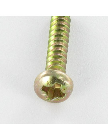1 x Tornillo chapa cabeza abovedada ancha Pozi...