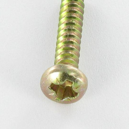 1 x Tornillo chapa cabeza abovedada ancha Pozi 2,9 x 9,5 Bicromato sin punta