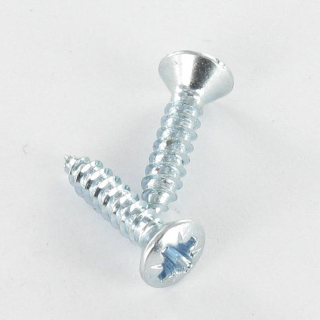 1 x Tornillo chapa cabeza fresada abombada Pozi 2.9X19 Acero niquelado