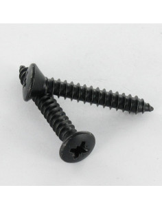 Tornillo chapa cabeza fresada abombada Pozi 4.8X16 Acero...