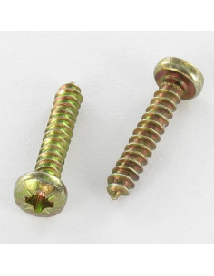 Tornillo chapa cabeza abovedada ancha Pozi 4.2X25 Bicromato