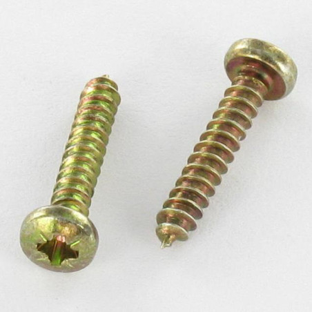 1 x Tornillo chapa cabeza abovedada ancha Pozi 3.9X30 Bicromato