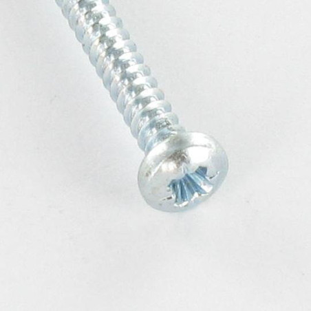 1 x Tornillo chapa cabeza abovedada ancha Pozi 3.5X13 Acero cincado blanco