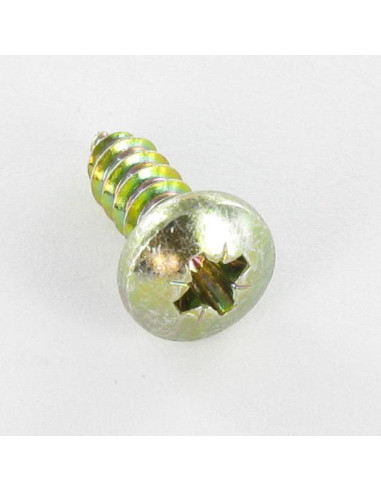 1 x Tornillo chapa cabeza abovedada ancha Pozi...