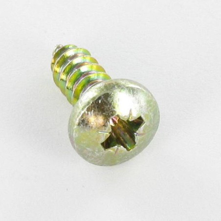 1 x Tornillo chapa cabeza abovedada ancha Pozi 2,9 x 6,5 Bicromato
