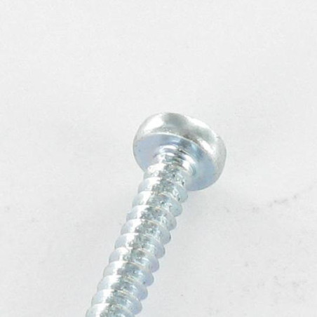 1 x Tornillo chapa cabeza abovedada ancha phillips 5.5X70 Acero cincado blanco