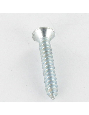 1 x Tornillo chapa cabeza fresada abombada...