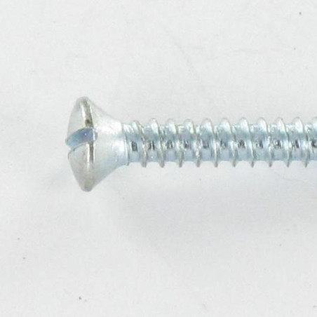1 x Tornillo chapa cabeza fresada abombada ranura 4.8X19 Acero cincado blanco