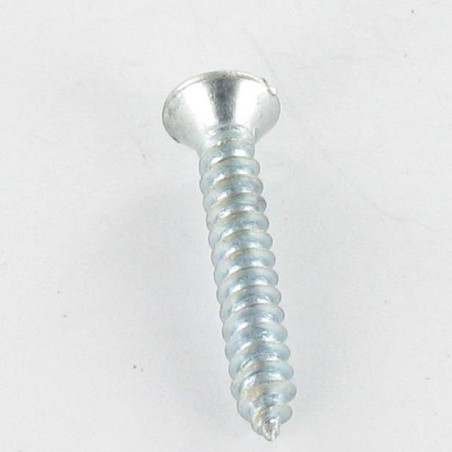 1 x Tornillo chapa cabeza fresada abombada ranura 4.8X19 Acero cincado blanco