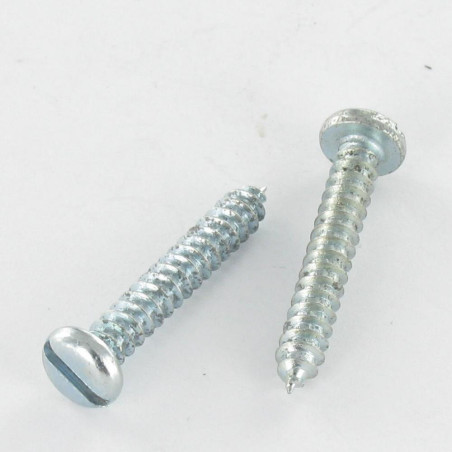 1 x Tornillo chapa cabeza cilíndrica ranura 4.2X25 Acero cincado blanco
