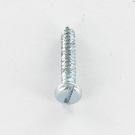 1 x Tornillo chapa cabeza cilíndrica ranura 4.2X13 Acero cincado blanco