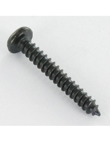 1 x Tornillo chapa cabeza cilíndrica ranura...