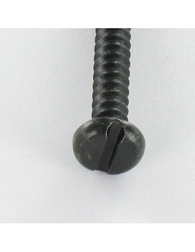 1 x Tornillo chapa cabeza cilíndrica ranura...