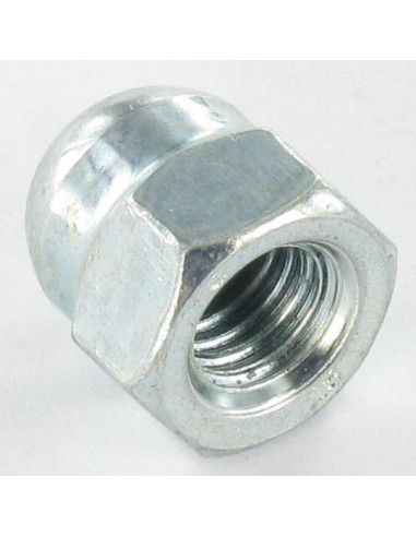 1 x Tuerca ciega M5 Acero cincado blanco