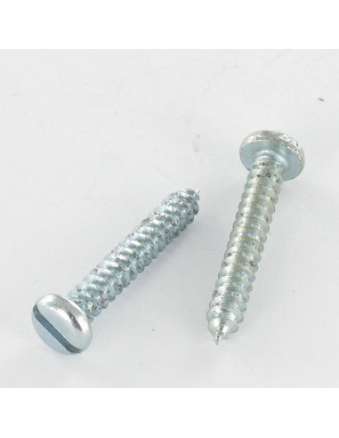 1 x Tornillo chapa cabeza cilíndrica ranura 2,9...