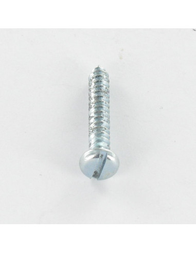 1 x Tornillo chapa cabeza cilíndrica ranura 2,9...
