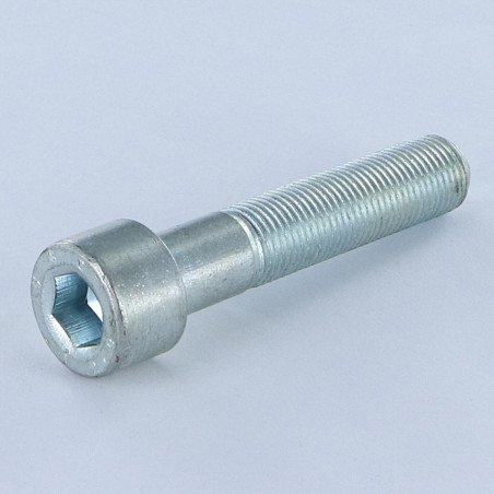 1 x Tornillo metales CHC BTR M20X120 roscado en 52 Clase 12.9 paso de 150 llave de 17 Acero cincado blanco