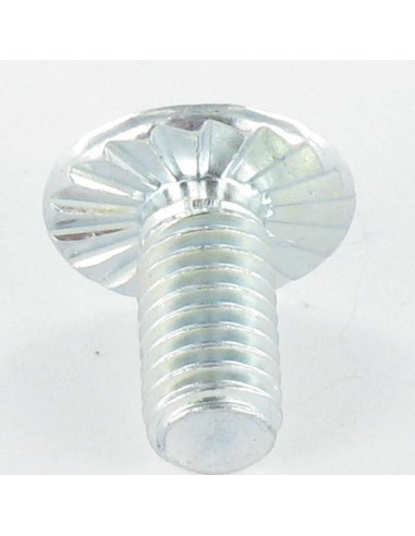 1 x Tornillo poelier cabeza redonda ancha Pozi...