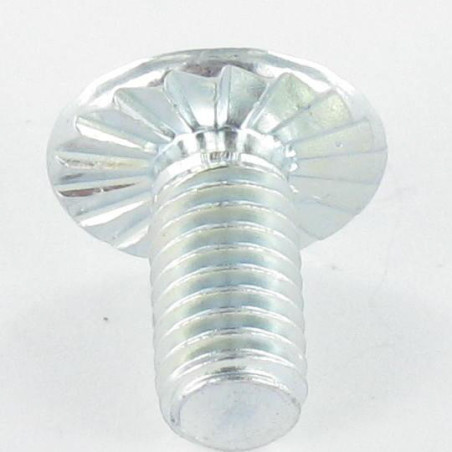 1 x Tornillo poelier cabeza redonda ancha Pozi ranura M6X12 dentado Acero cincado blanco