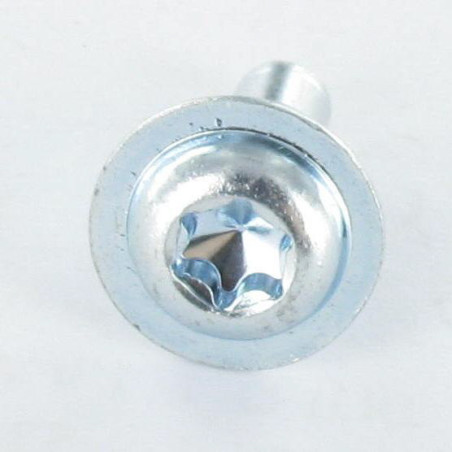 1 x Tornillo metales cabeza redonda ancha TORX T30 M6X12 clase 10.9 Acero cincado blanco