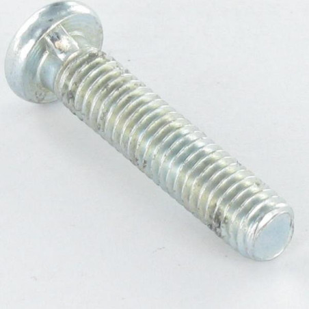 1 x Tornillo metales cabeza cilíndrica sin ranura M6X28 1 Cornezuelo Acero cincado blanco