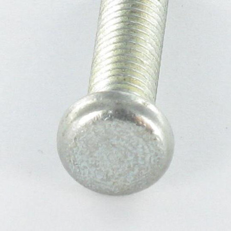 1 x Tornillo metales cabeza cilíndrica sin ranura M6X28 1 Cornezuelo Acero cincado blanco