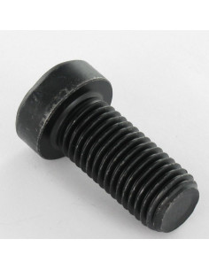 Tornillo metales CHC BTR cabeza baja M12X25 roscado total... 2