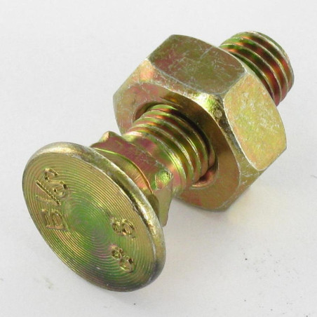 1 x Perno avellanado Cabeza fresada cuello cuadrado M10X50 Clase 8.8 Bicromato