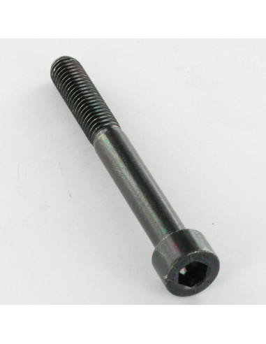 1 x Tornillo metales CHC BTR M7X40 roscado en...