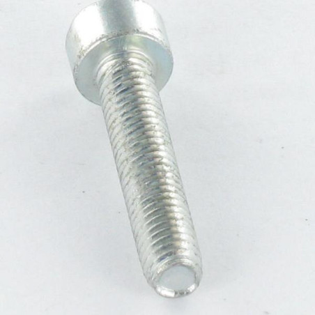 1 x Tornillo autorroscante cabeza cilíndrica M6X30 TORX T30 Acero cincado blanco
