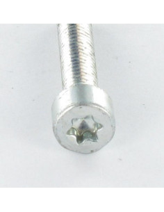 Tornillo autorroscante cabeza cilíndrica M6X16 TORX T30... 2