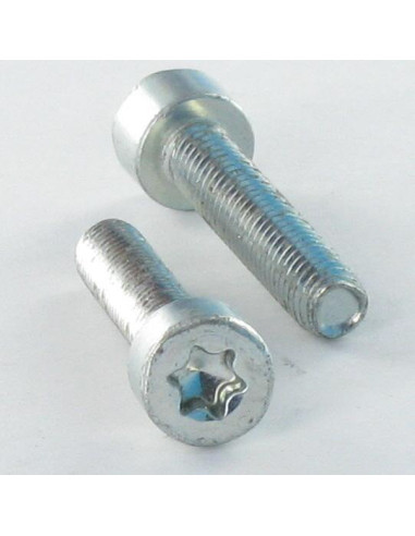 1 x Tornillo autorroscante cabeza cilíndrica...