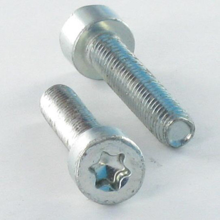 1 x Tornillo autorroscante cabeza cilíndrica M5X12 TORX T25 Acero cincado blanco