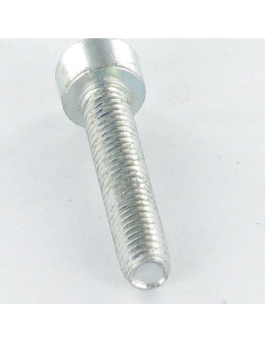 1 x Tornillo autorroscante cabeza cilíndrica...