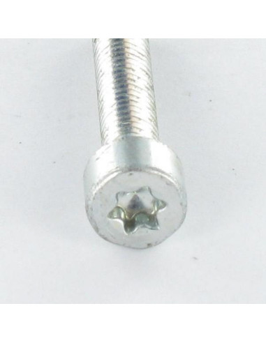 1 x Tornillo autorroscante cabeza cilíndrica...